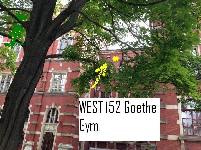 Goethegymnasium-amalienstrasse-dg-west-aussen.jpeg